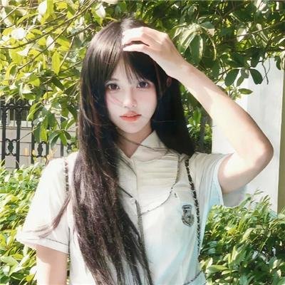 双生赤狐